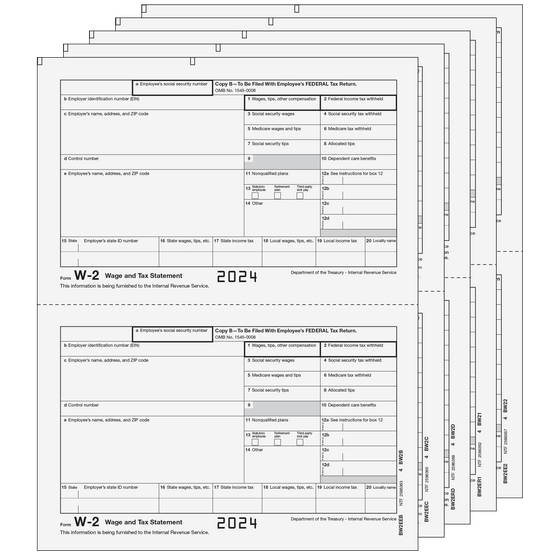 W-2 Traditional 2up E-file Laser Set - 5pt