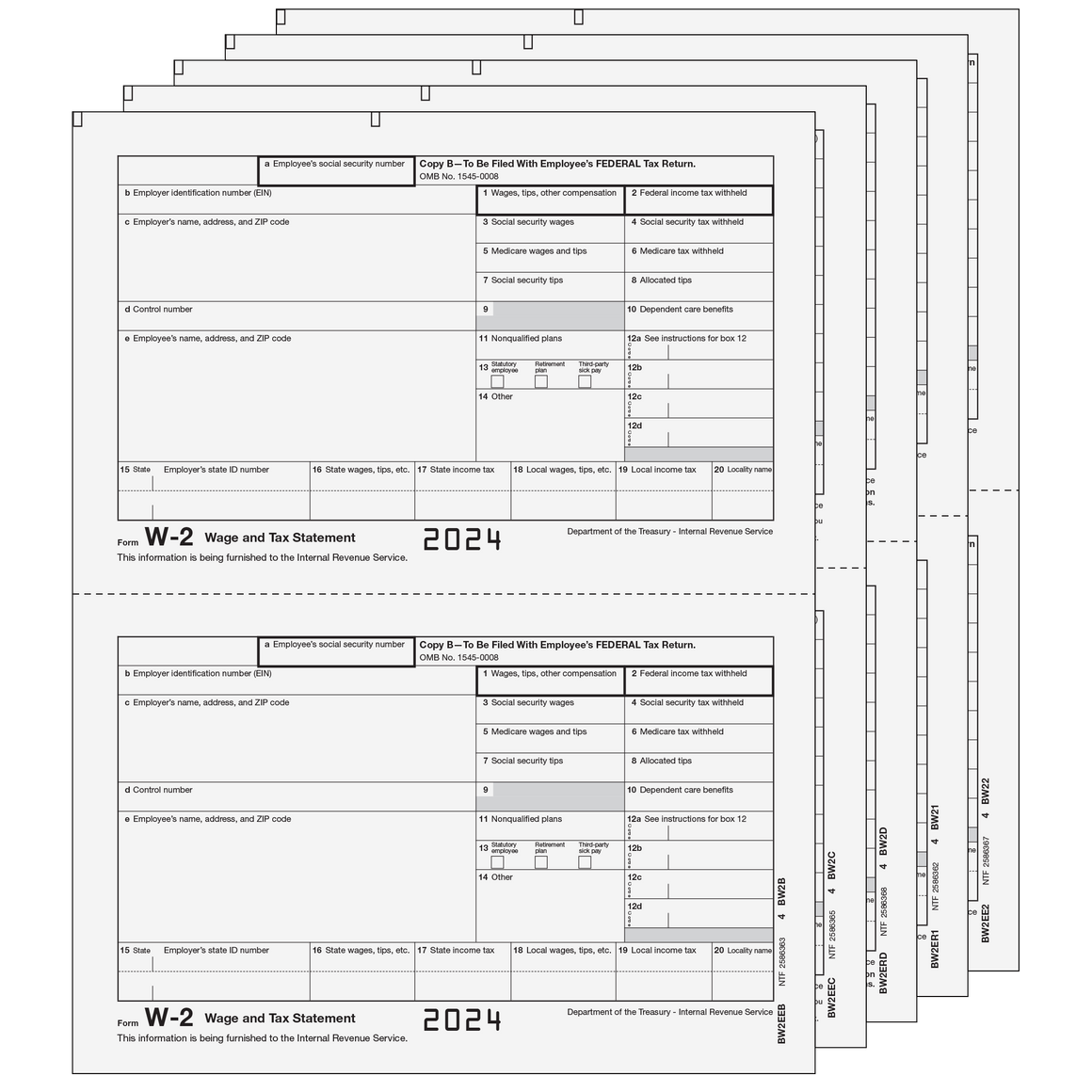 W-2 Traditional 2up E-file Laser Set - 5pt