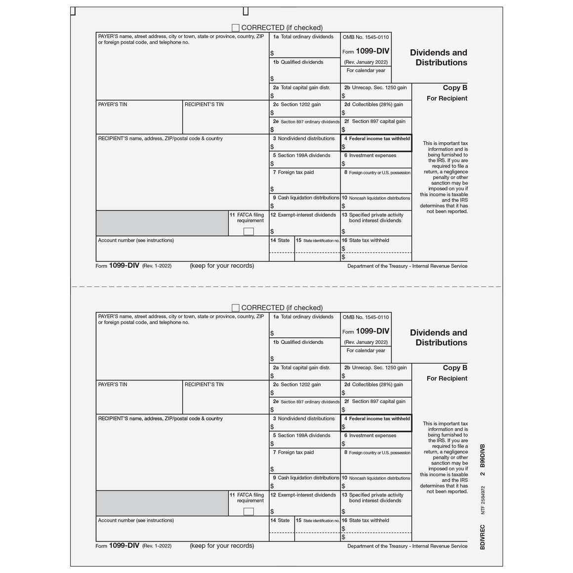 1099-DIV Recipient Copy B